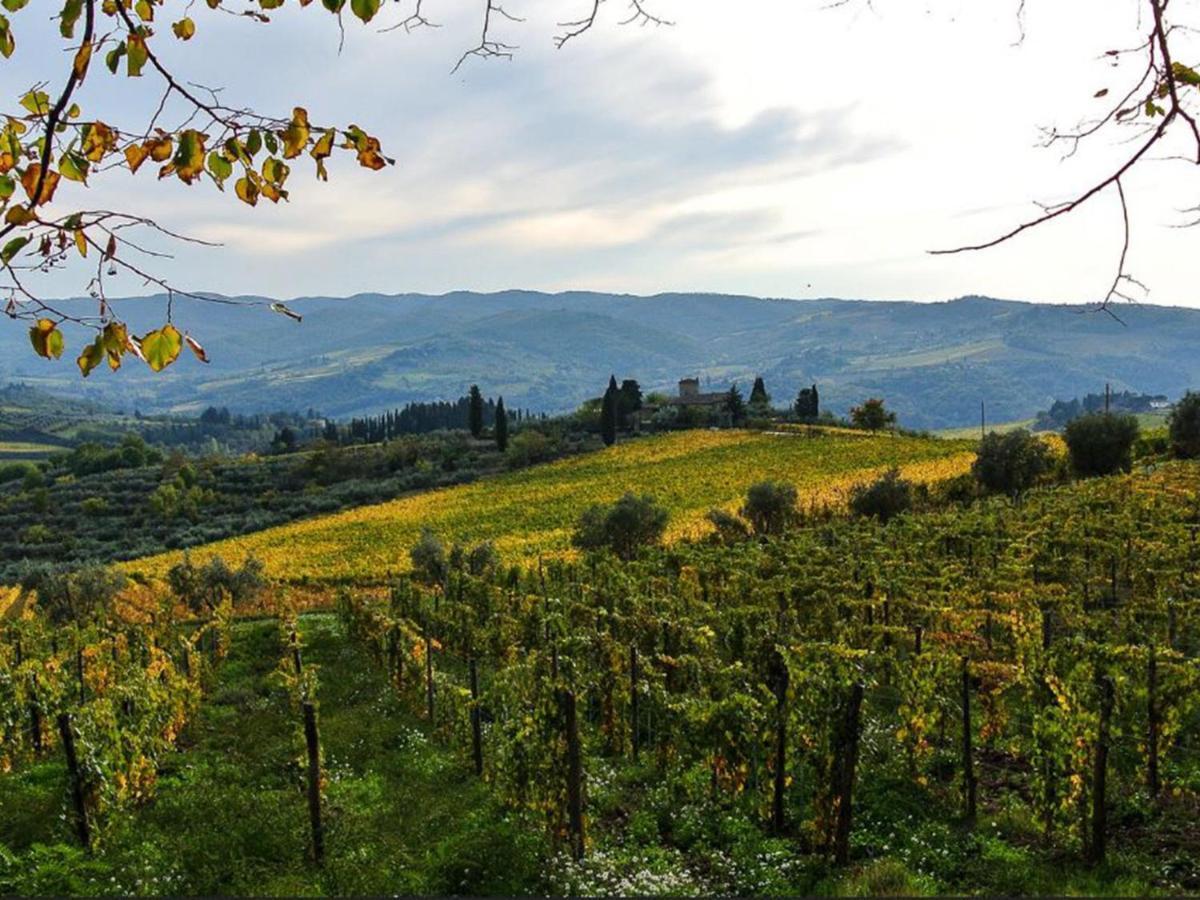 Holiday Home Locazione Turistica Selvapiana By Interhome Greve in Chianti Buitenkant foto